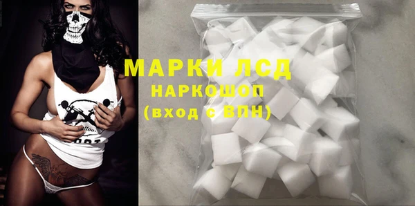 стафф Арсеньев