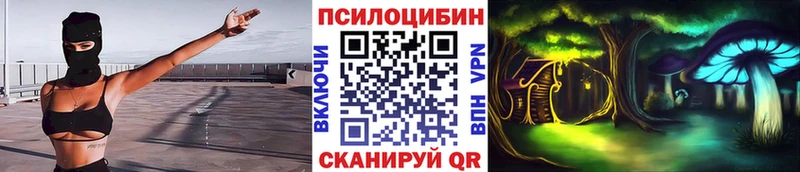 где продают наркотики  Богданович  omg маркетплейс  Псилоцибиновые грибы мицелий 